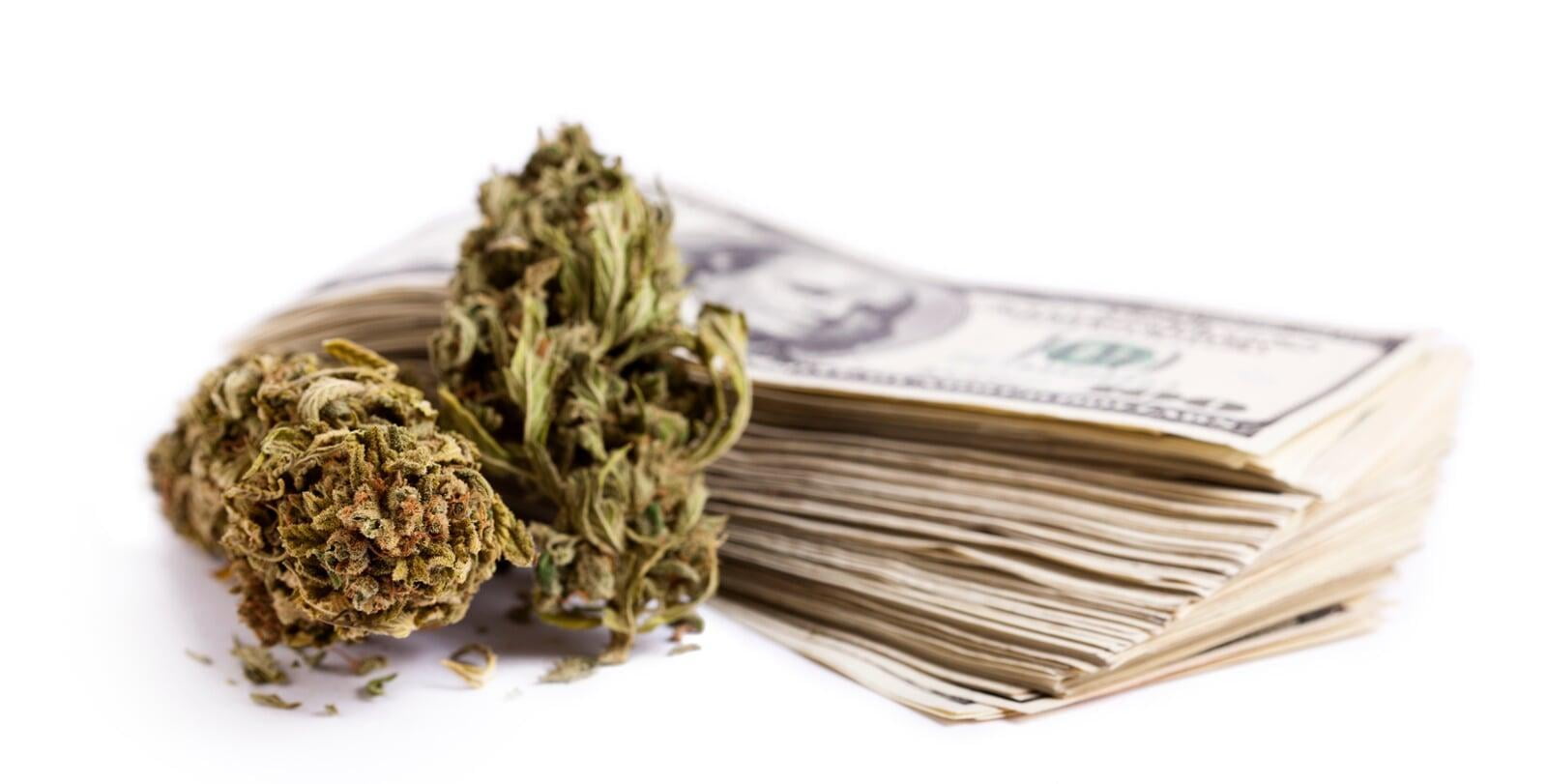 WMU Starts Cannabis Marketing Certification Program On 4/20; Cost: $420