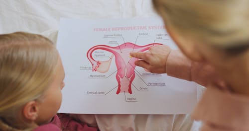 Sex Ed Updates Move Away From Morality To Science-Based Facts 