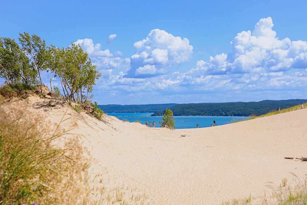 Automated, Electric Bus To Cart Tourists Around Sleeping Bear Dunes 