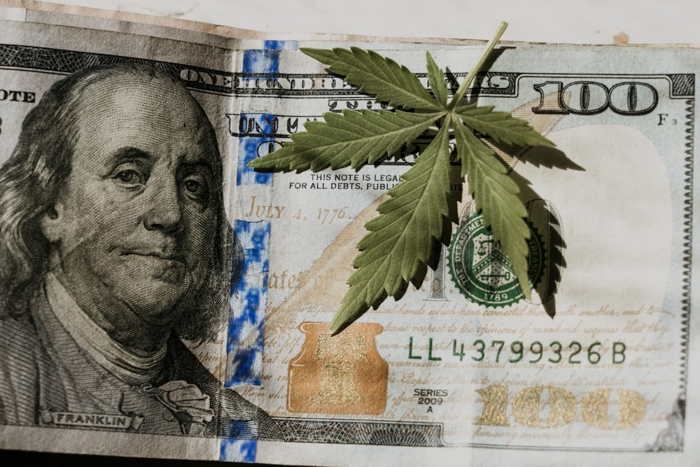 Michigan Cannabis Gold Rush May Soon Cash Out 