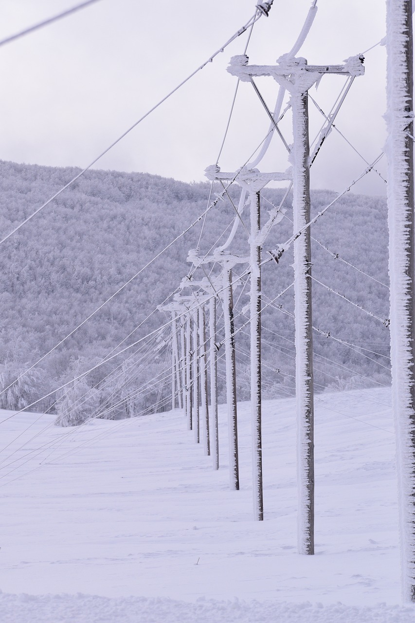 Consumers Puts In Power Traffic Cops, Buries Lines, Installs Iron Poles To Harden Grid 